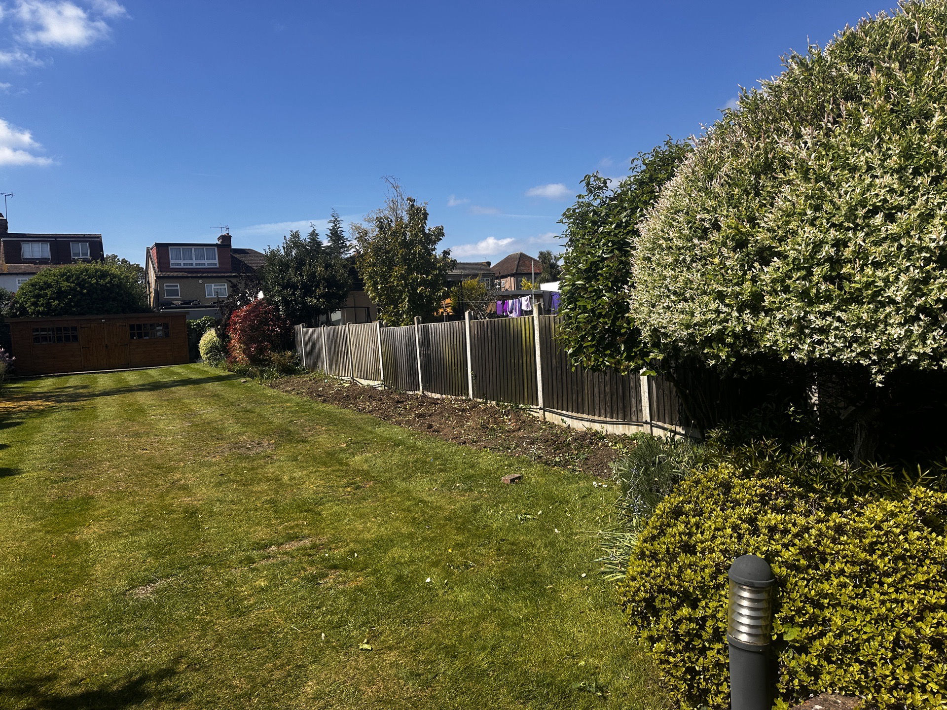 Daniel’s Tree Service work sample 5