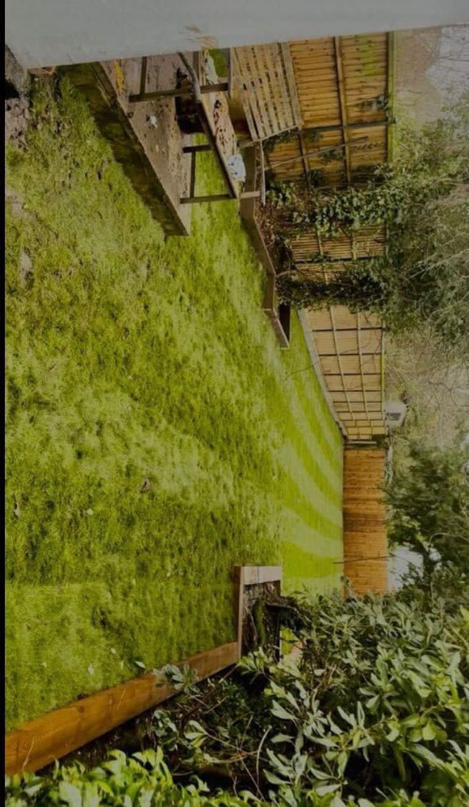 Steven Jardine work sample 8