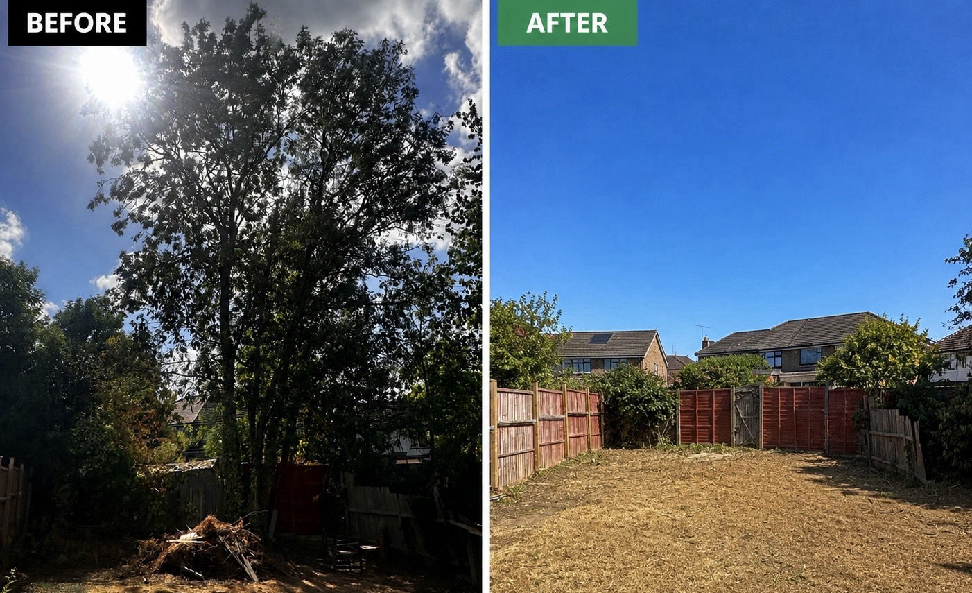 Daniel’s Tree Service work sample 4