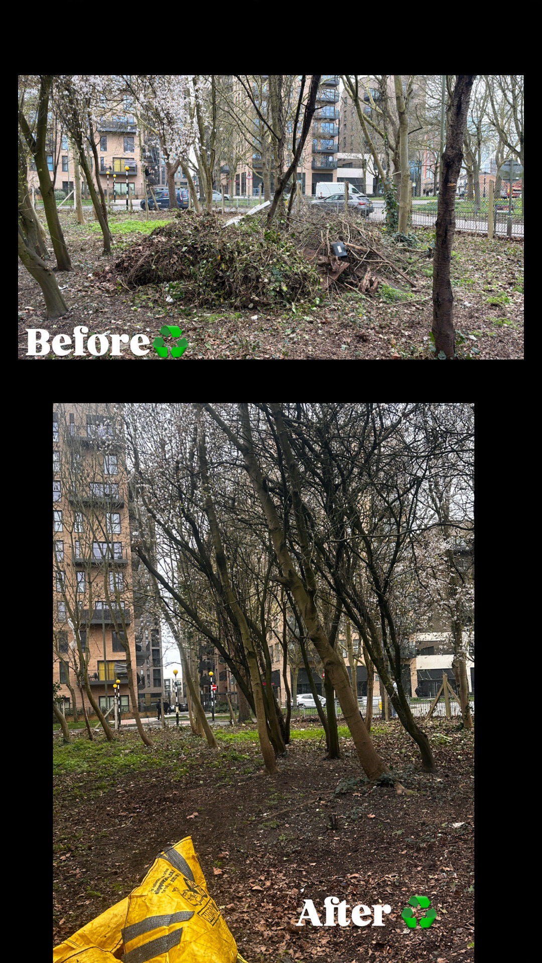 Daniel’s Tree Service work sample 7